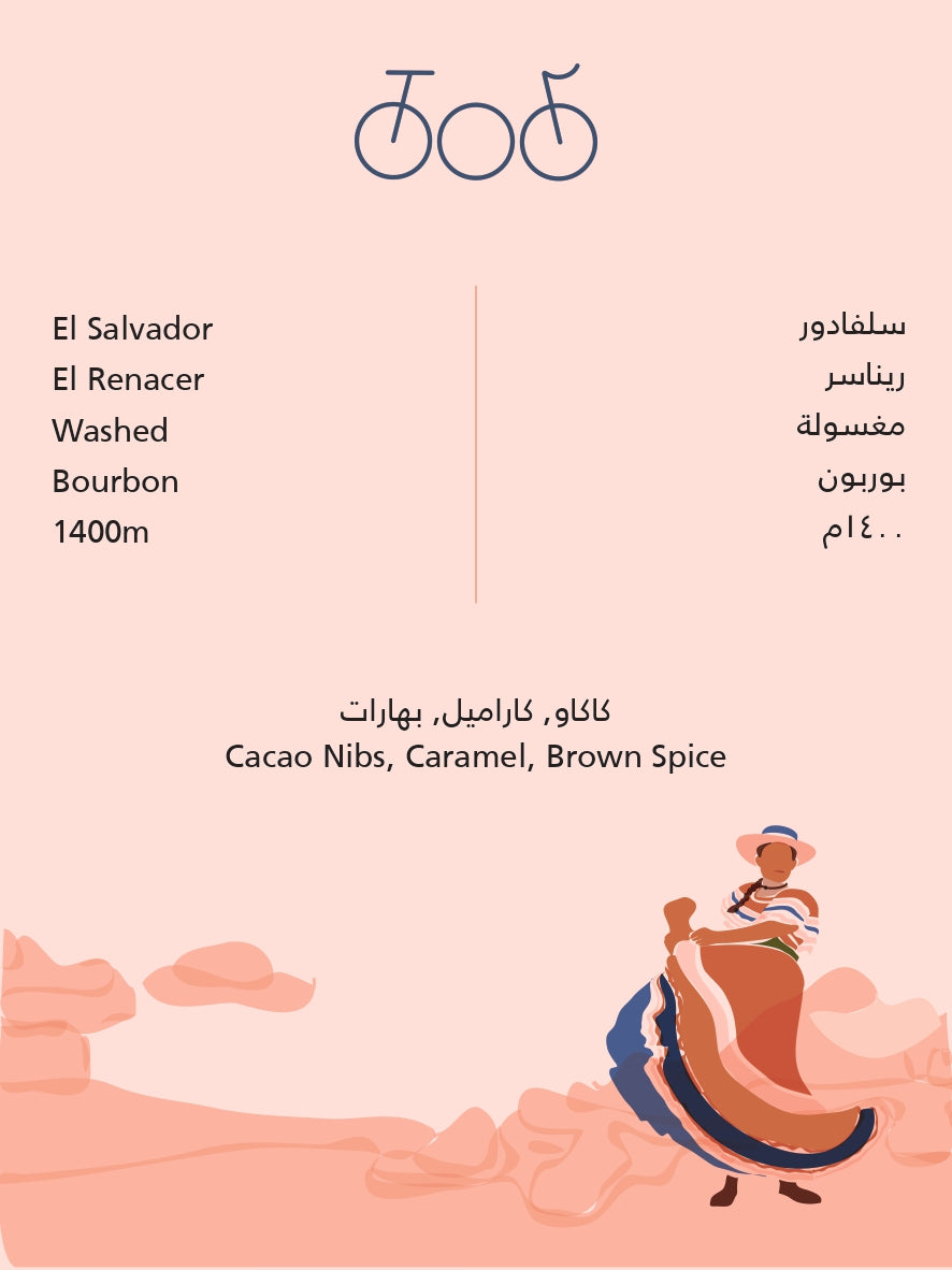 سلفادور ريناسر - محمصة ترايسكل